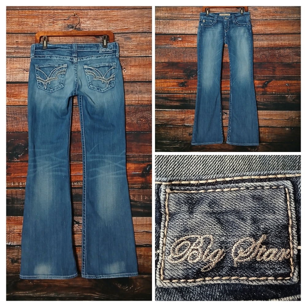 Big Star Jeans 28 Casey Low Rise Boot Cut Flare Embroidered Denim Stretch USA